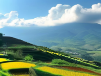 揭秘文案清单品牌故事，旅游避坑指南